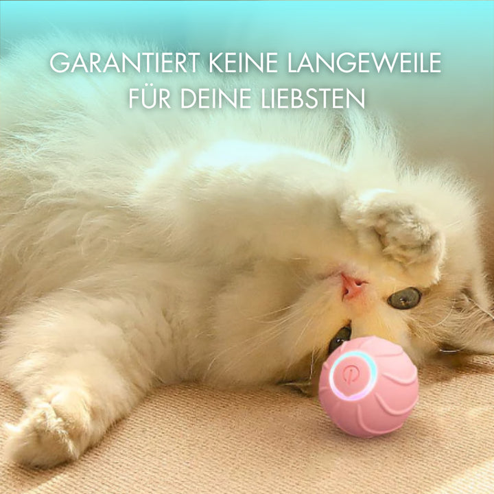 haustier-katze-spielen-katzenball