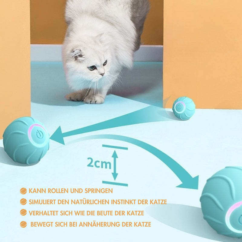 katze-ball-spiel-spielen