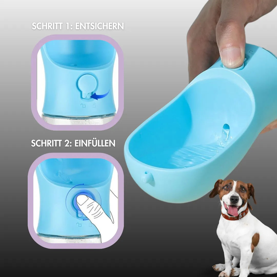 katze-hund-trinken-hundefutter