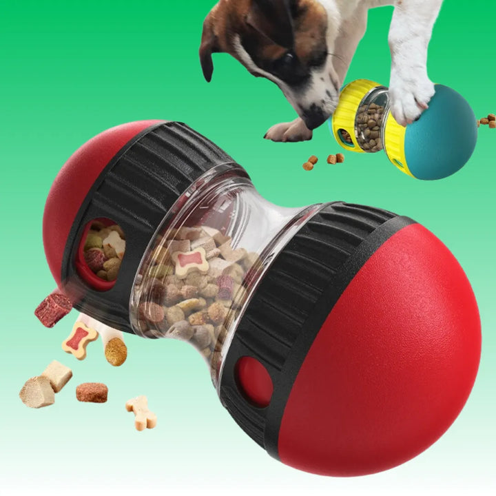 spielen-essen-hund-haustier